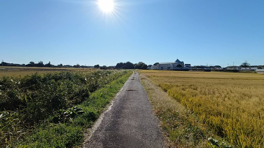 渋井の土壇場までの道