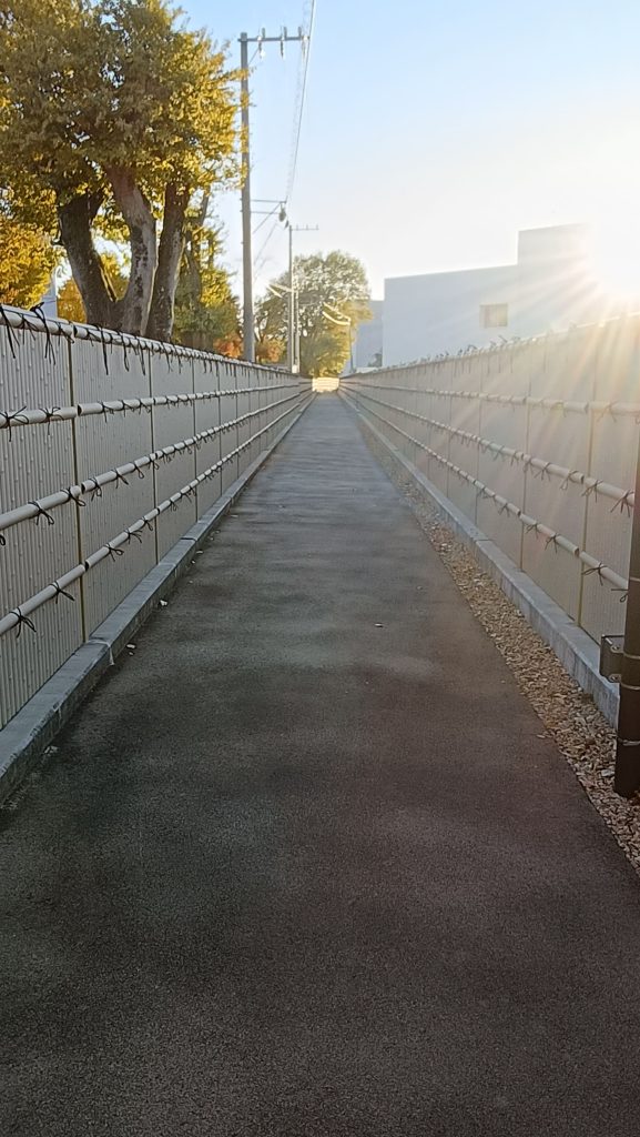 二の丸櫓に続く細道