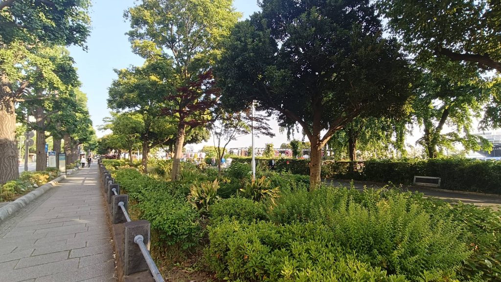 当日朝の山下公園