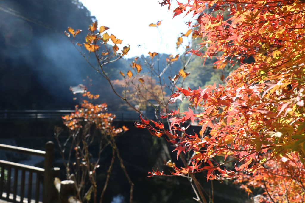 塩浸温泉龍馬公園