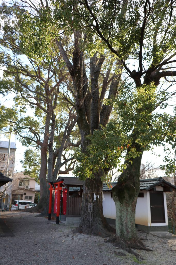 三栖神社