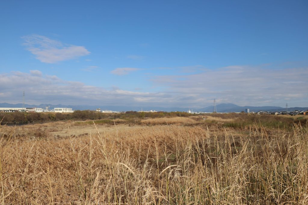 桂川