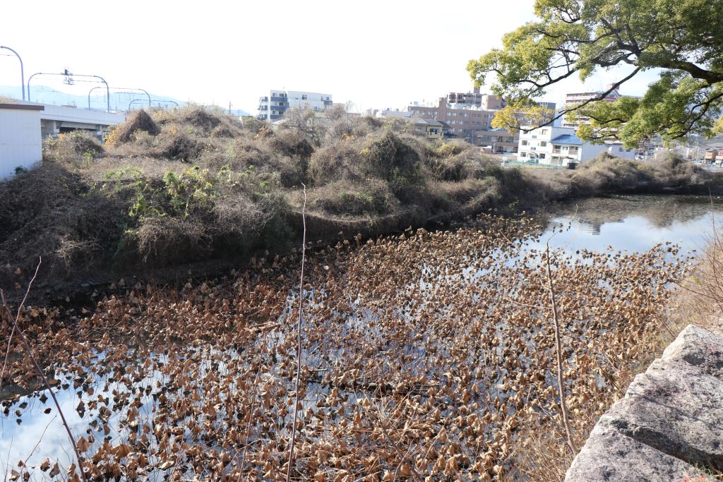 淀城跡