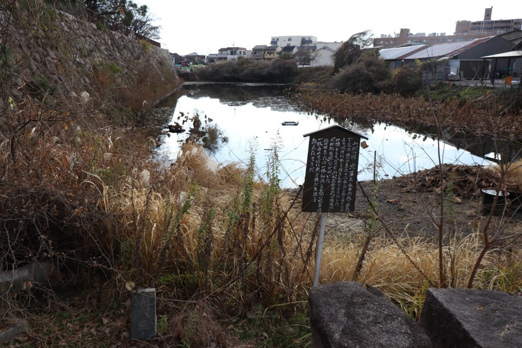 淀城